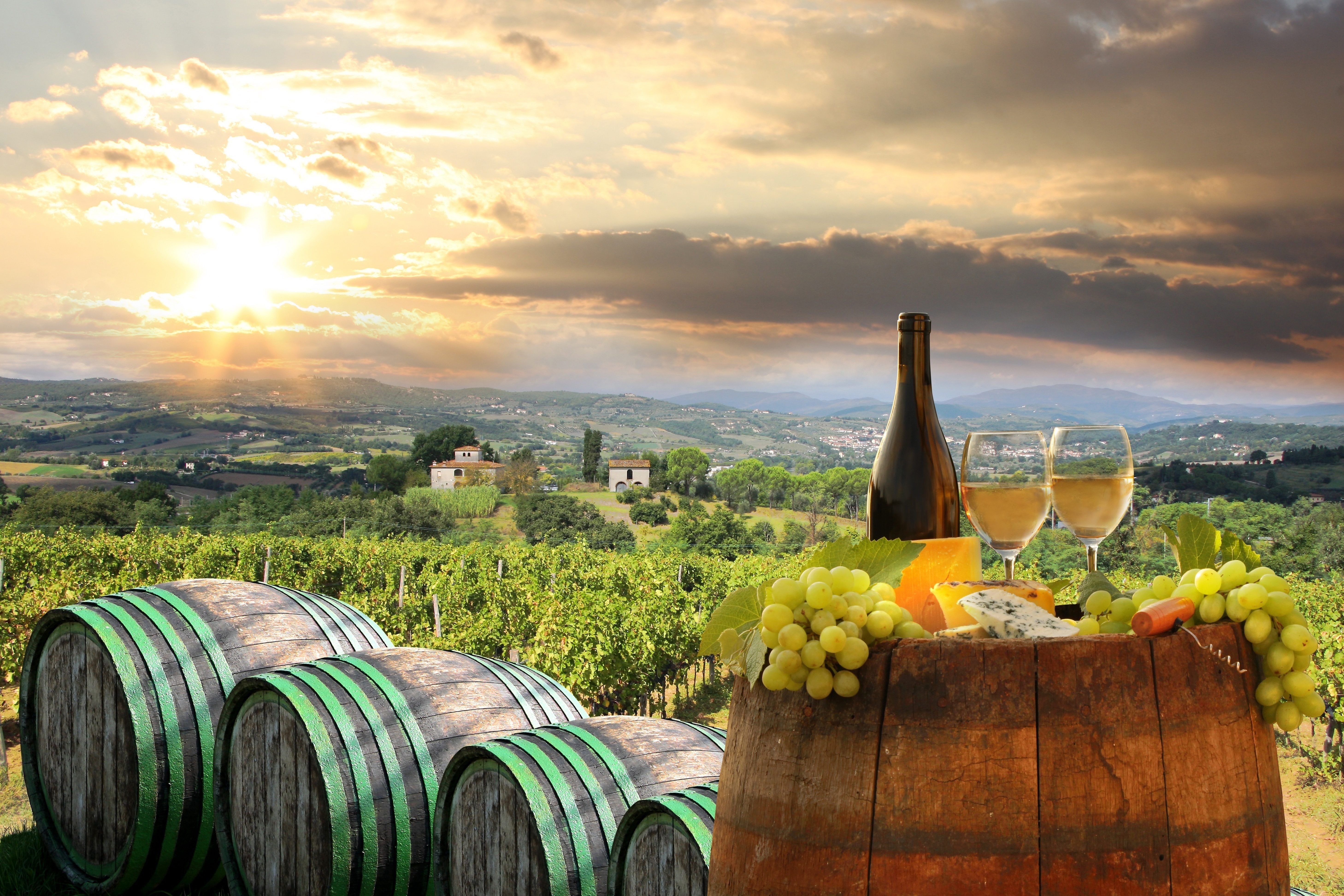 10 Fun Facts about Wine